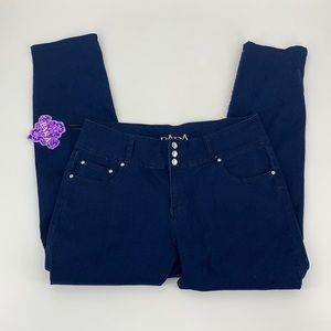 Para Plus Size Blue Jeans NWT Spandex Blend